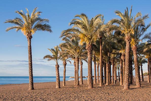 Apartamento Carole Playa Bajondillo Beach - Playa A 30 Segundos - Wifi - Parking - Terraza Appartement *